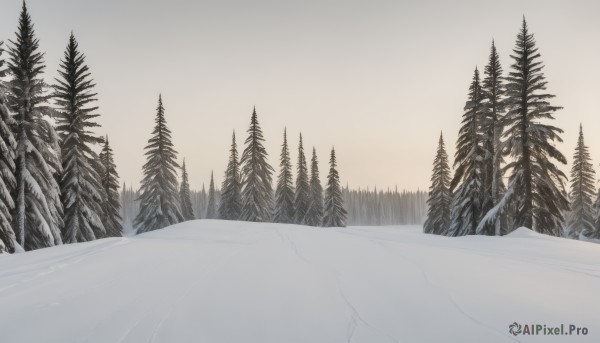 monochrome,outdoors,sky,water,tree,no humans,nature,scenery,snow,forest,mountain,winter,bare tree,landscape,pine tree,cloud,cloudy sky,lake,fog,grey sky