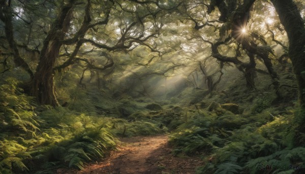 A glimpse of a unique subject in a ethereal outdoors