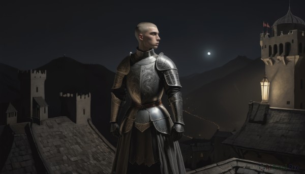 solo,1boy,standing,male focus,outdoors,dark skin,armor,night,facial hair,moon,helmet,shoulder armor,gauntlets,building,pauldrons,breastplate,bald,faulds,castle,1girl,gloves,closed mouth,sky,black gloves,looking to the side,night sky,scenery,full moon,vambraces,house,knight,rooftop,town,chainmail