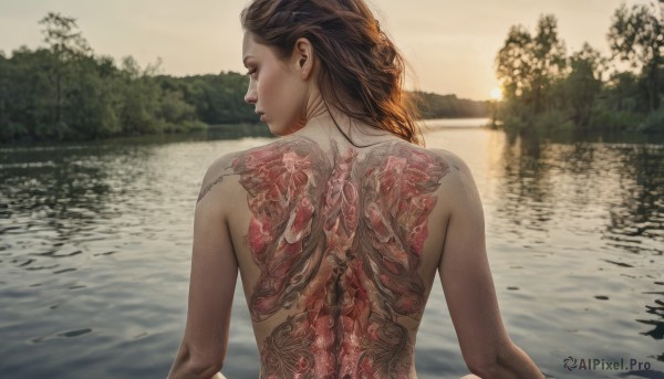 1girl,solo,long hair,brown hair,black hair,closed eyes,upper body,nude,outdoors,looking back,water,from behind,blurry,tree,lips,tattoo,blurry background,back,nature,freckles,reflection,sunset,realistic,river,lake,back tattoo,1boy,male focus,back focus