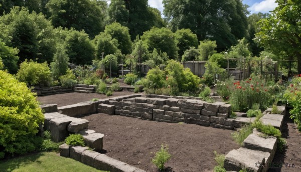 Image of a garden in a fresh day