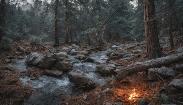 holding,outdoors,water,tree,no humans,fire,nature,scenery,snow,forest,lantern,rock,bare tree,campfire,river,stone,stream