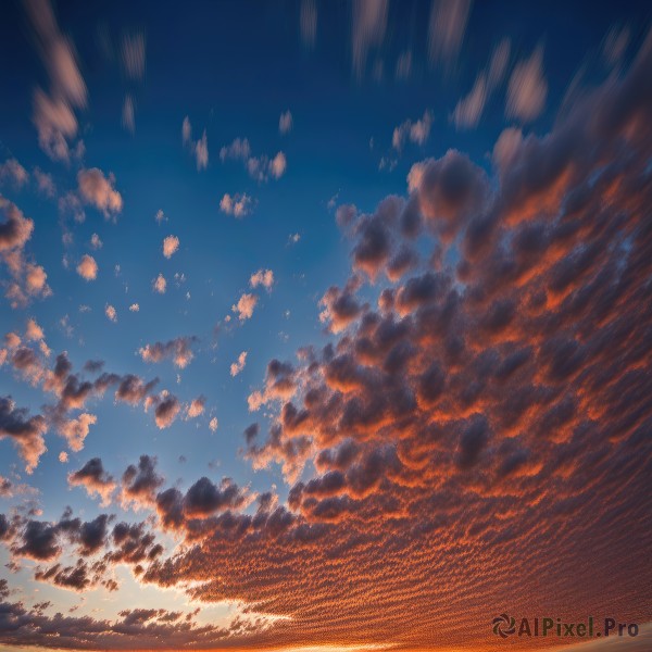 outdoors,sky,day,cloud,tree,blue sky,dutch angle,no humans,sunlight,cloudy sky,nature,scenery,sunset,sun,horizon,road,gradient sky,water,ocean,evening,fisheye