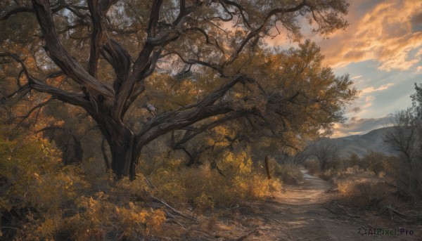 A landscape portrayed in a vivid sunset day