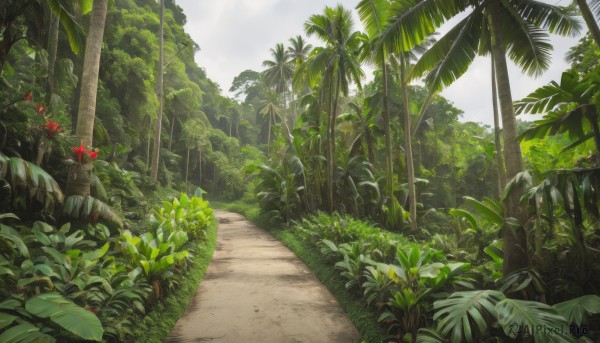 flower,outdoors,sky,day,tree,no humans,leaf,beach,sunlight,grass,plant,nature,scenery,forest,palm tree,road,bush,cloud,cloudy sky,landscape,path