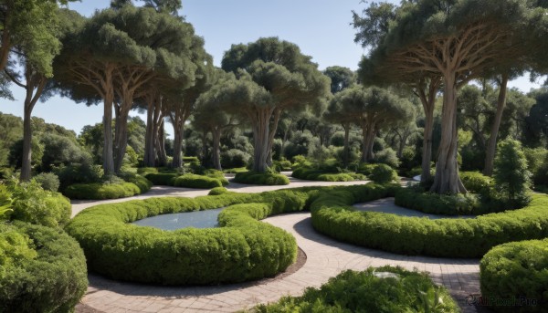 The serene presence of a landscape in a lush day