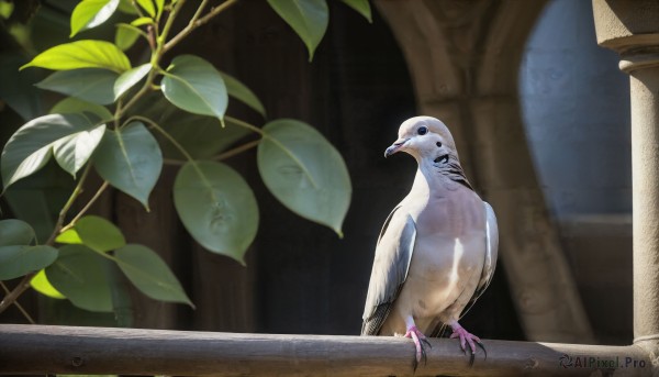 HQ,blue eyes,standing,outdoors,day,indoors,blurry,no humans,bird,animal,leaf,plant,realistic,animal focus,pillar,talons,beak,1girl,signature,scenery,size difference,oversized animal