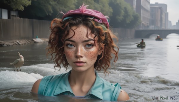 1girl,solo,looking at viewer,short hair,blue eyes,brown hair,shirt,hat,closed mouth,outdoors,sleeveless,day,collared shirt,water,tree,lips,wet,sleeveless shirt,bird,wavy hair,blue shirt,ground vehicle,building,messy hair,portrait,motor vehicle,partially submerged,freckles,curly hair,realistic,nose,car,pink headwear,wet hair,watercraft,river,boat,animal,dirty