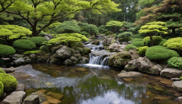 outdoors,day,water,tree,no humans,plant,nature,scenery,forest,reflection,rock,river,waterfall,moss,pond,stream,traditional media,grass,bush,landscape