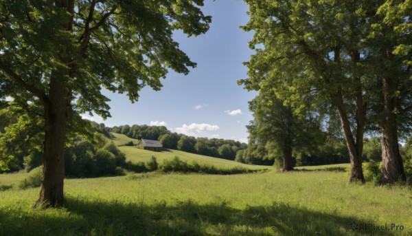 outdoors,sky,day,cloud,tree,blue sky,no humans,cloudy sky,grass,nature,scenery,forest,road,bush,field,house,landscape,path,hill,building