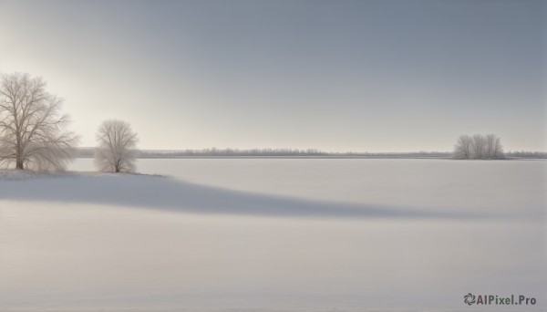 The charm of a unique subject in a scenic sunset outdoors