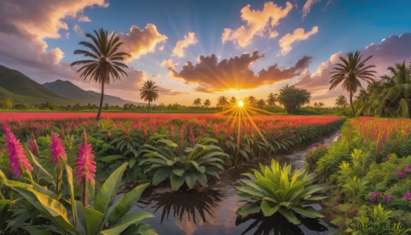 flower, outdoors, sky, cloud, tree, no humans, cloudy sky, grass, plant, nature, scenery, sunset, mountain, sun