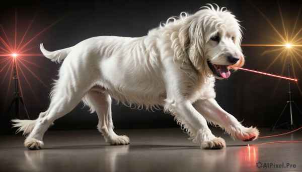 A dog in the heart of a majestic dynamic scene