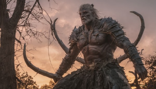 solo,gloves,1boy,navel,holding,closed mouth,nipples,weapon,white hair,male focus,cowboy shot,outdoors,sword,holding weapon,armor,tree,muscular,facial hair,scar,abs,dark-skinned male,pectorals,muscular male,shoulder armor,bara,glowing eyes,beard,scar on face,pauldrons,topless male,bow (weapon),scar across eye,arrow (projectile),holding bow (weapon),looking at viewer,standing,grey hair,sky,black gloves,cloud,glowing,holding sword,cloudy sky,gauntlets,sunset,breastplate,bare tree,orange sky