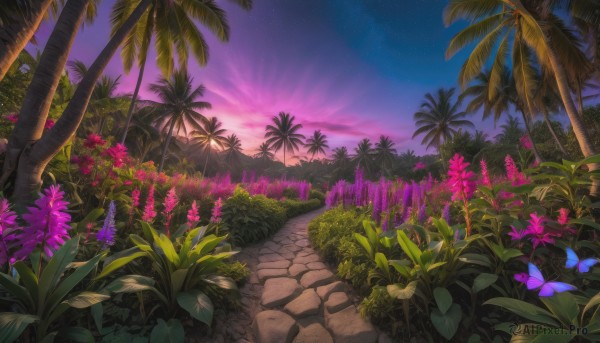 flower, outdoors, sky, tree, no humans, night, grass, bug, plant, butterfly, star (sky), nature, night sky, scenery, starry sky, sunset, palm tree, road, path, purple sky