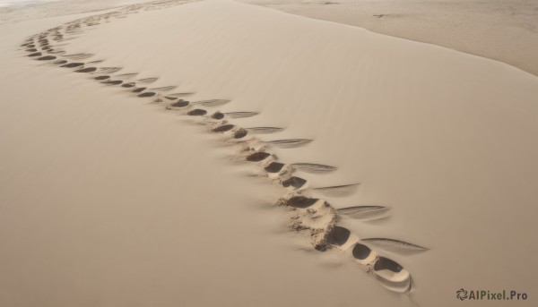 monochrome,outdoors,water,no humans,traditional media,beach,scenery,sand,brown theme,desert,solo,animal,from above,animal focus,footprints