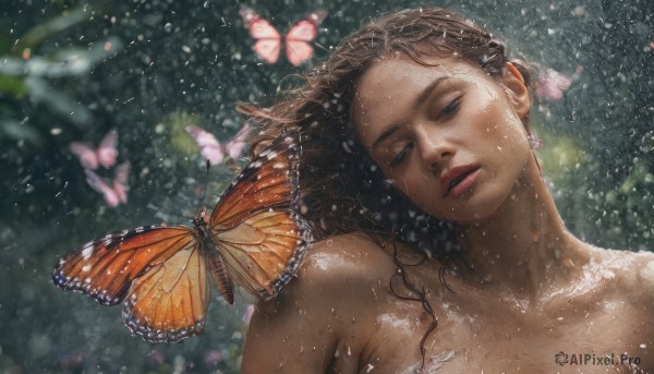 A dynamic view of a butterfly in rainy dynamic scene