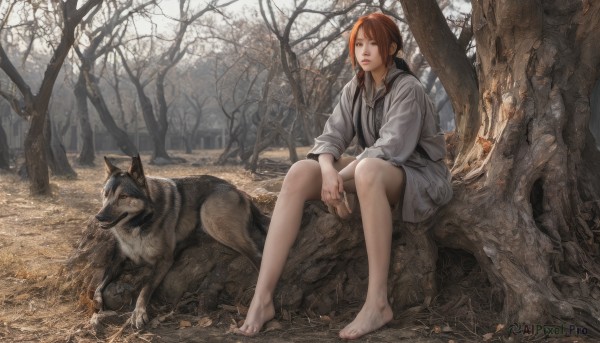 A glimpse of a dog in a picturesque outdoors