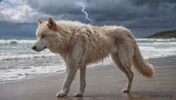 A unique view of a lightning in day