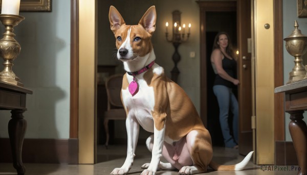 HQ,1girl,blue eyes,brown hair,shirt,1boy,standing,penis,pants,indoors,collar,animal,table,cat,denim,dog,jeans,mirror,realistic,door,animal focus,animal collar,open door,shiba inu,breasts,looking at viewer,hetero,glasses,pussy,sleeveless,black shirt,uncensored,chair,tank top,blue pants,lamp,lock,walk-in,caught,candlestand