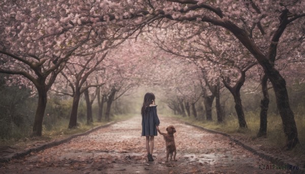 1girl, solo, long hair, brown hair, black hair, standing, outdoors, shoes, black footwear, tree, animal, cherry blossoms, scenery, walking, dog, road, wide shot, path