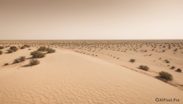 monochrome,outdoors,sky,water,tree,no humans,bird,ocean,beach,scenery,sand,horizon,sepia,river,landscape,shore,brown theme,desert,footprints