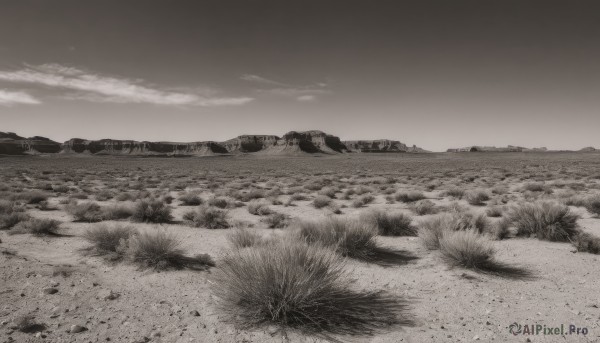 monochrome,greyscale,outdoors,sky,cloud,no humans,cloudy sky,grass,nature,scenery,rock,horizon,field,landscape,water,night,bird,ocean,beach,sand,waves,shore