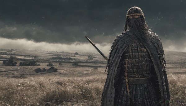 solo,long hair,black hair,1boy,holding,standing,weapon,male focus,outdoors,sky,sword,cloud,from behind,cape,holding weapon,armor,helmet,cloudy sky,grass,polearm,staff,shoulder armor,scenery,field,full armor,ambiguous gender,chainmail,upper body,facial hair,cloak,beard,weapon on back