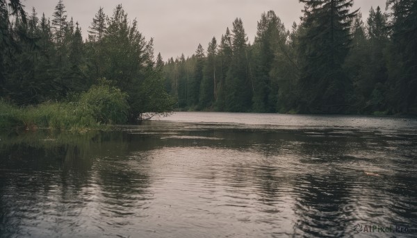 outdoors,sky,day,cloud,water,tree,no humans,cloudy sky,grass,nature,scenery,forest,reflection,road,bush,river,lake,reflective water,landscape,pine tree