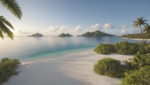 A graceful landscape captured in sunset day