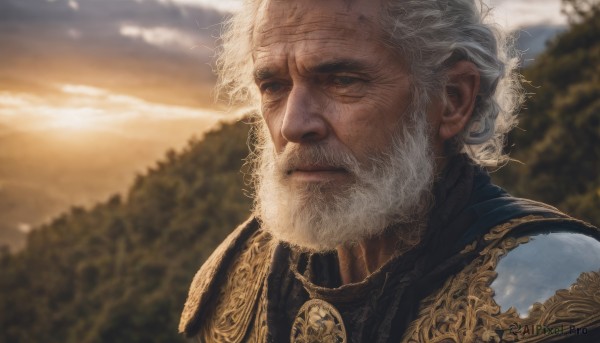 solo,1boy,closed mouth,upper body,white hair,male focus,outdoors,sky,cloud,armor,blurry,tree,blurry background,facial hair,scar,portrait,beard,scar on face,realistic,mustache,old,old man,chainmail,wrinkled skin,looking at viewer,grey hair,grey eyes,cloudy sky,shoulder armor,sunset,scar across eye