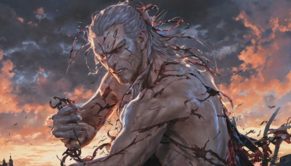 solo,long hair,looking at viewer,1boy,holding,upper body,weapon,white hair,grey hair,male focus,outdoors,sky,teeth,sword,cloud,holding weapon,from side,torn clothes,blood,muscular,facial hair,scar,holding sword,cloudy sky,muscular male,beard,veins,topless male,mature male,old,old man,closed eyes,bird,sunset,scar across eye,manly