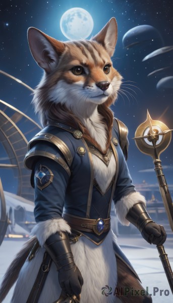 solo,looking at viewer,gloves,long sleeves,1boy,holding,brown eyes,jewelry,standing,jacket,tail,weapon,male focus,cowboy shot,outdoors,sky,black gloves,belt,pants,artist name,signature,armor,fur trim,no humans,night,animal,moon,staff,gauntlets,gem,star (sky),night sky,furry,full moon,brown gloves,starry sky,holding staff,whiskers,animal ears,blue jacket,snow,furry male,brown fur