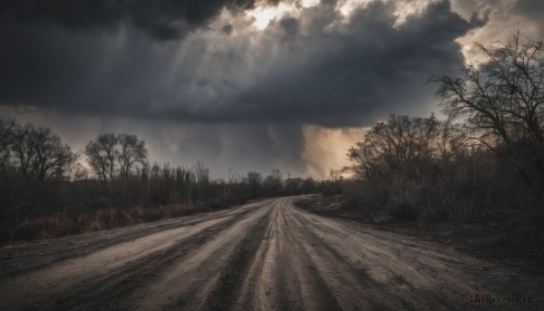 outdoors,sky,day,cloud,tree,no humans,sunlight,cloudy sky,grass,nature,scenery,forest,light rays,road,sunbeam,bare tree,landscape,path