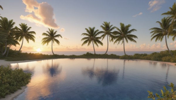 The serene presence of a unique subject in a breathtaking sunset outdoors
