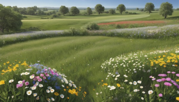 A delightful capture of a landscape within day