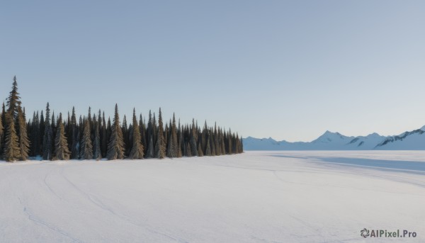 outdoors,sky,day,tree,blue sky,no humans,nature,scenery,snow,forest,mountain,winter,bare tree,landscape,mountainous horizon,footprints,pine tree,lake