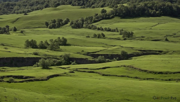 A landscape in a picturesque day