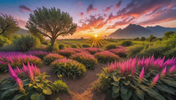A breathtaking view of a landscape in sunset outdoors