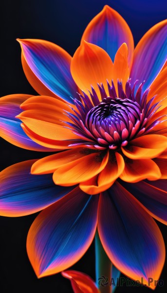 A dynamic view of a abstract in background