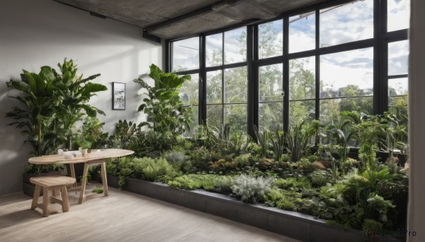 outdoors,sky,day,cloud,indoors,tree,blue sky,no humans,window,chair,table,sunlight,cloudy sky,plant,scenery,wooden floor,potted plant,bush,cafe,cup