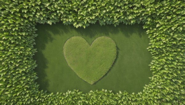 heart,outdoors,no humans,leaf,traditional media,plant,nature,scenery,green theme,flower,day,shadow,from above,grass,white flower,bush,shade