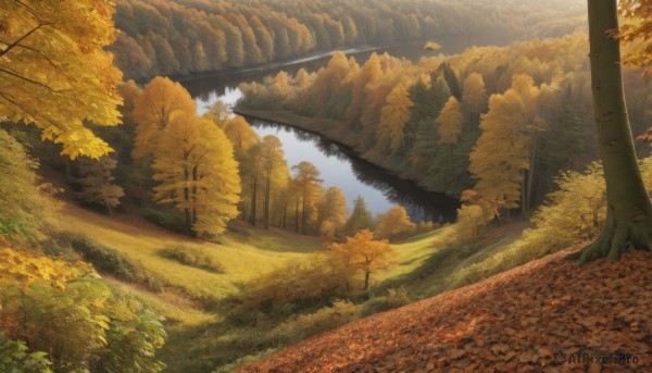 A landscape in a serene day