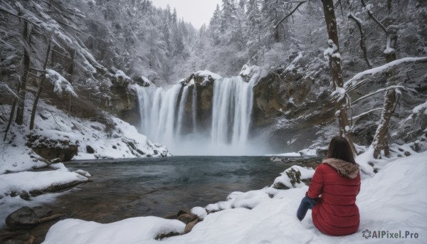 1girl, solo, long hair, black hair, gloves, sitting, outdoors, water, from behind, tree, coat, fur trim, nature, scenery, snow, winter clothes, facing away, winter, waterfall