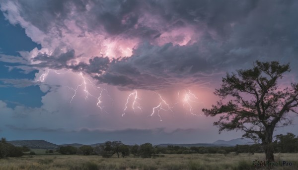 A striking outdoors featuring the elegance of a lightning