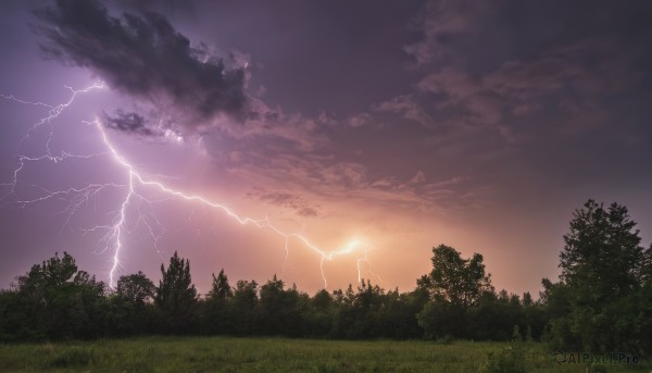 outdoors,sky,cloud,tree,no humans,cloudy sky,grass,nature,scenery,forest,sunset,electricity,lightning,landscape,purple sky,monochrome