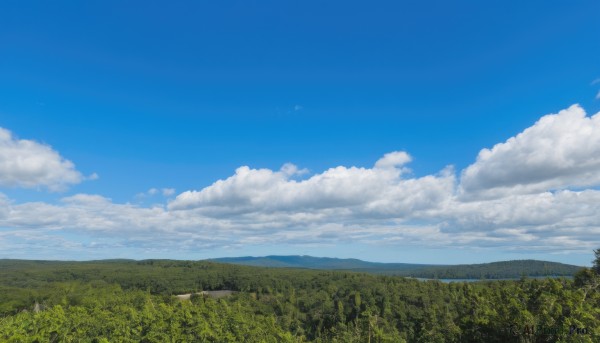 outdoors,sky,day,cloud,tree,blue sky,no humans,cloudy sky,grass,nature,scenery,forest,mountain,road,field,landscape,mountainous horizon,hill,summer