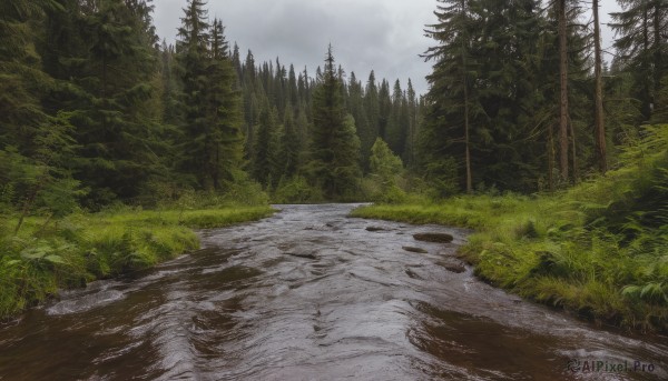 outdoors,sky,day,cloud,tree,no humans,cloudy sky,grass,nature,scenery,forest,road,bush,landscape,path,river,fog,pine tree