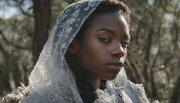 1girl,solo,long hair,looking at viewer,black hair,1boy,brown eyes,male focus,outdoors,parted lips,day,dark skin,blurry,black eyes,tree,lips,depth of field,blurry background,portrait,nature,veil,forest,realistic,bridal veil,dress,closed mouth,mole,dark-skinned female,expressionless,sunlight,close-up,very short hair,dappled sunlight,very dark skin,mole on cheek