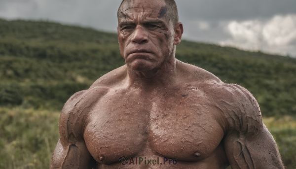 solo,looking at viewer,short hair,1boy,closed mouth,nipples,upper body,grey hair,male focus,nude,outdoors,sky,day,cloud,dark skin,blurry,muscular,blurry background,facial hair,scar,dark-skinned male,thick eyebrows,pectorals,muscular male,bara,beard,scar on face,large pectorals,veins,meme,topless male,mature male,realistic,bald,manly,old,chest hair,old man,photo background,arm hair,wrinkled skin,completely nude,tattoo,abs,field,pectoral focus